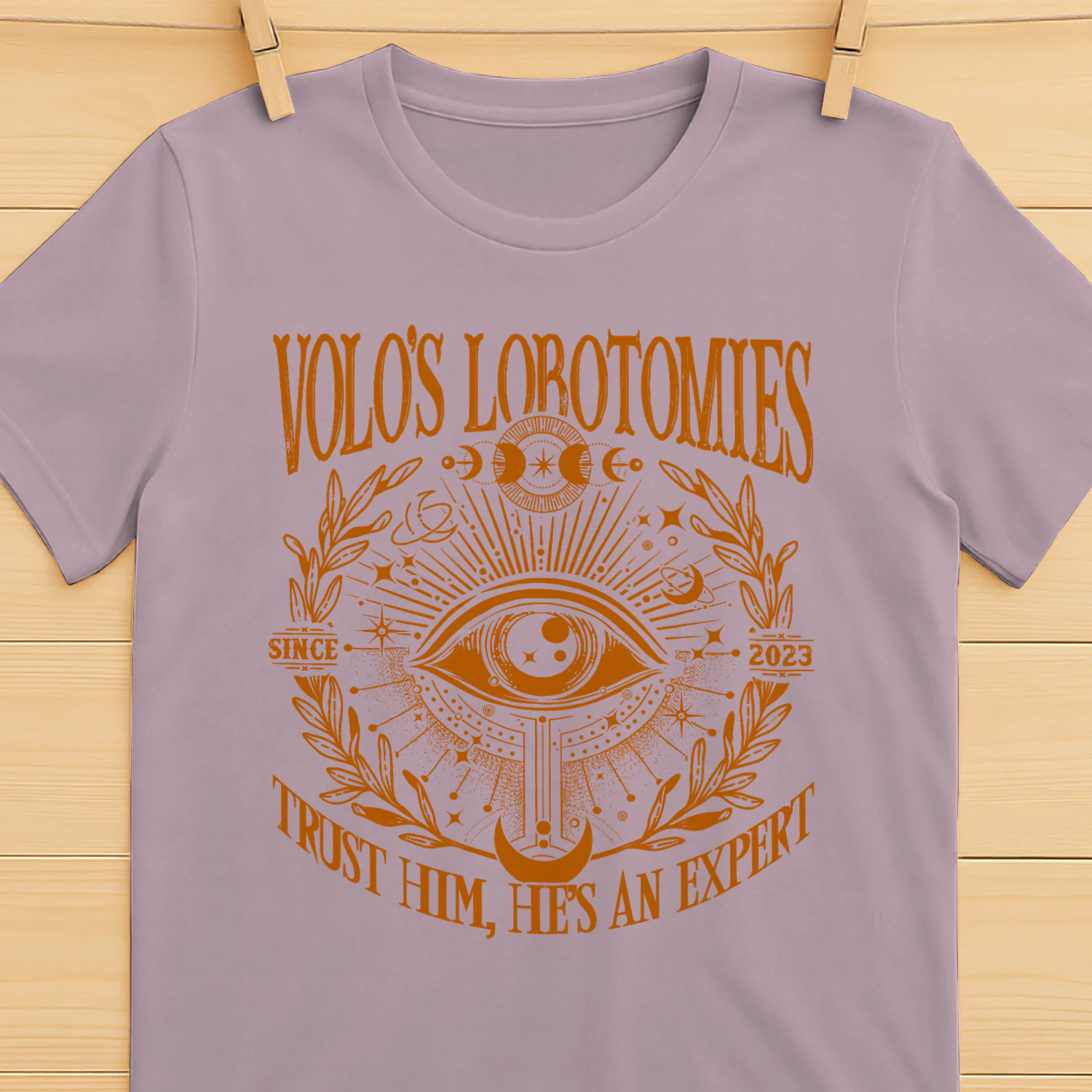 Volo’s Lobotomies Heavy Cotton Light Colors T-shirt 1 Side, High Fantasy Gildan Tee, Tabletop RPG Lore Shirt, Book Lover Gifts