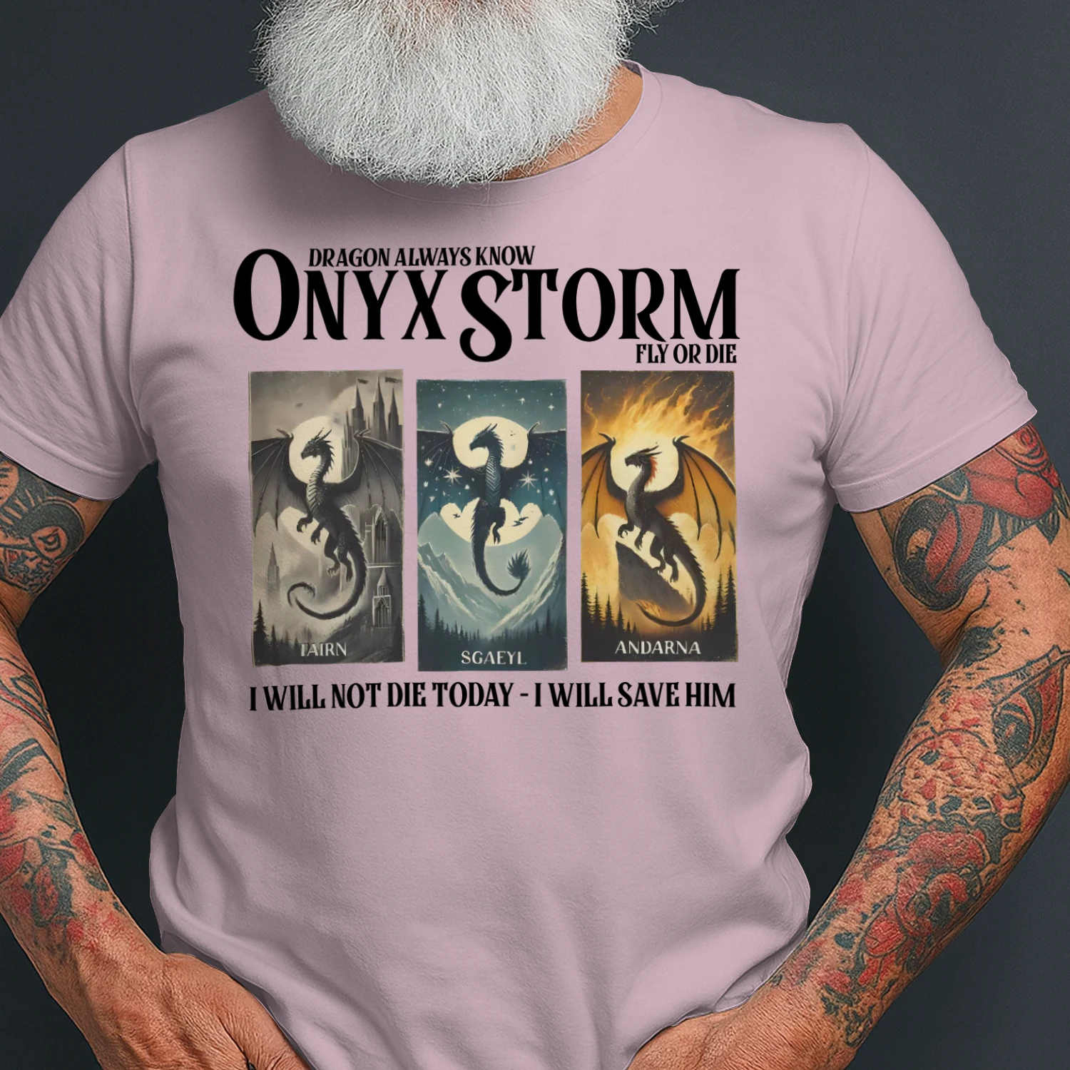 Onyx Storm Heavy Cotton Light Colors T-shirt 1 Side, The Empyrean Series Gildan Tee, Fantasy Romance Book Shirt, Book Lover Gifts