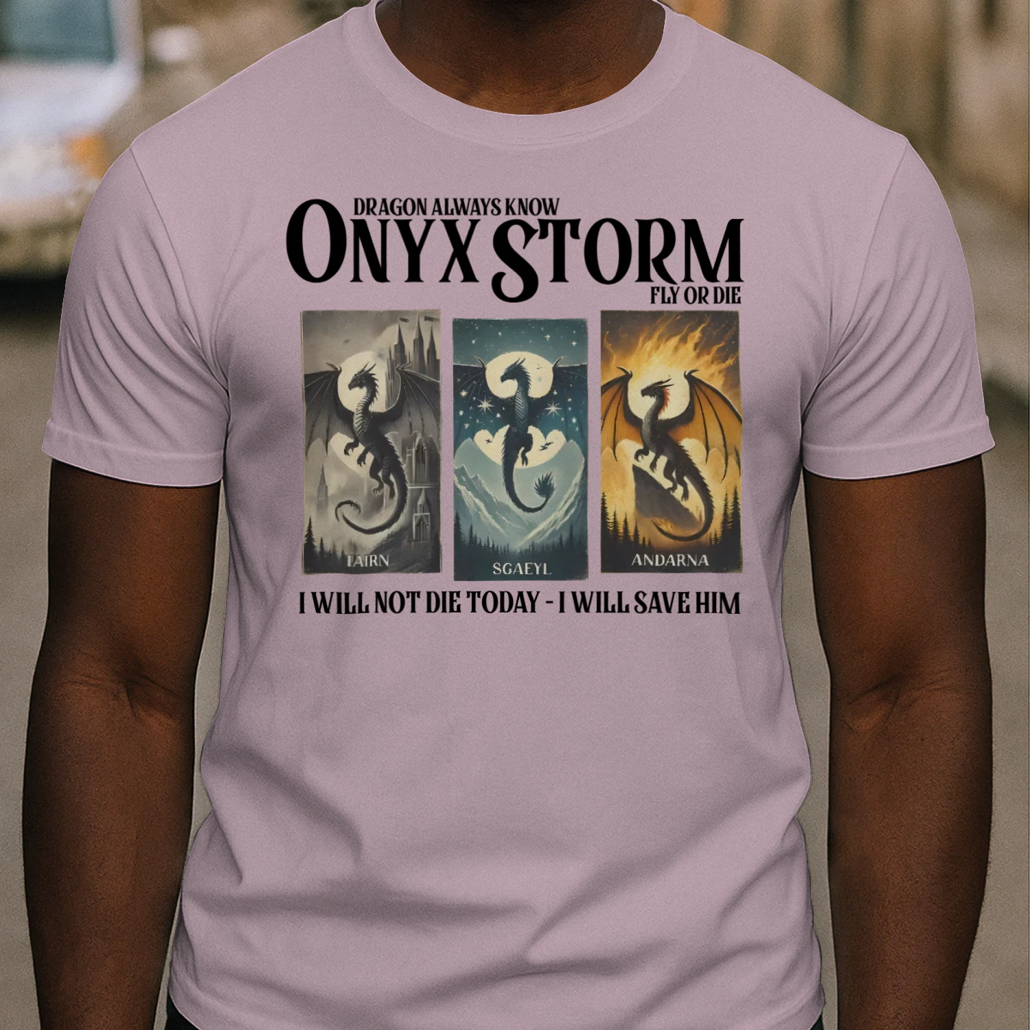 Onyx Storm Heavy Cotton Light Colors T-shirt 1 Side, The Empyrean Series Gildan Tee, Fantasy Romance Book Shirt, Book Lover Gifts