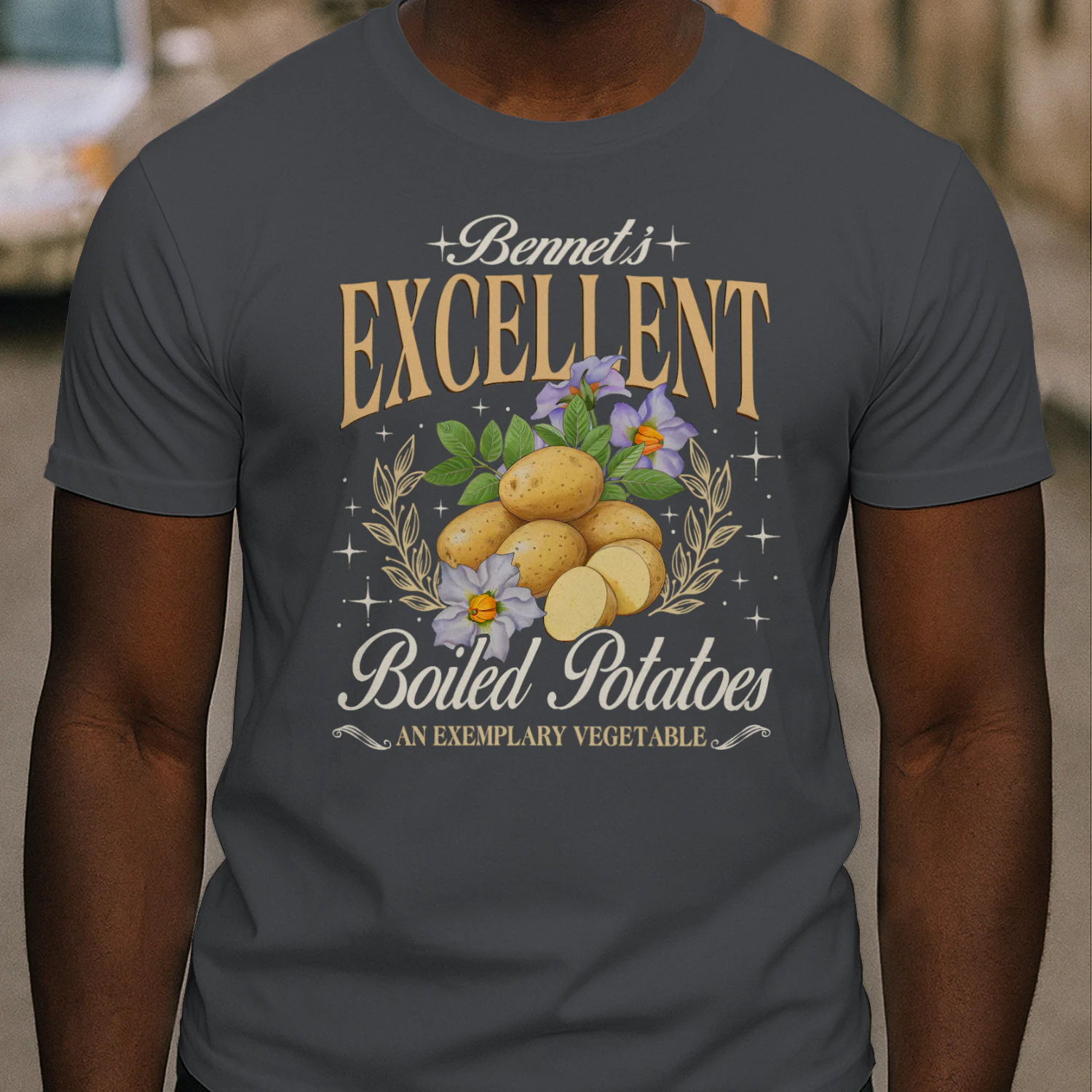Exemplary Vegetable Heavy Cotton Dark Colors T-shirt 1 Side, Pride and Prejudice Gildan Tee, Classic Literature Shirt, Book Lover Gifts