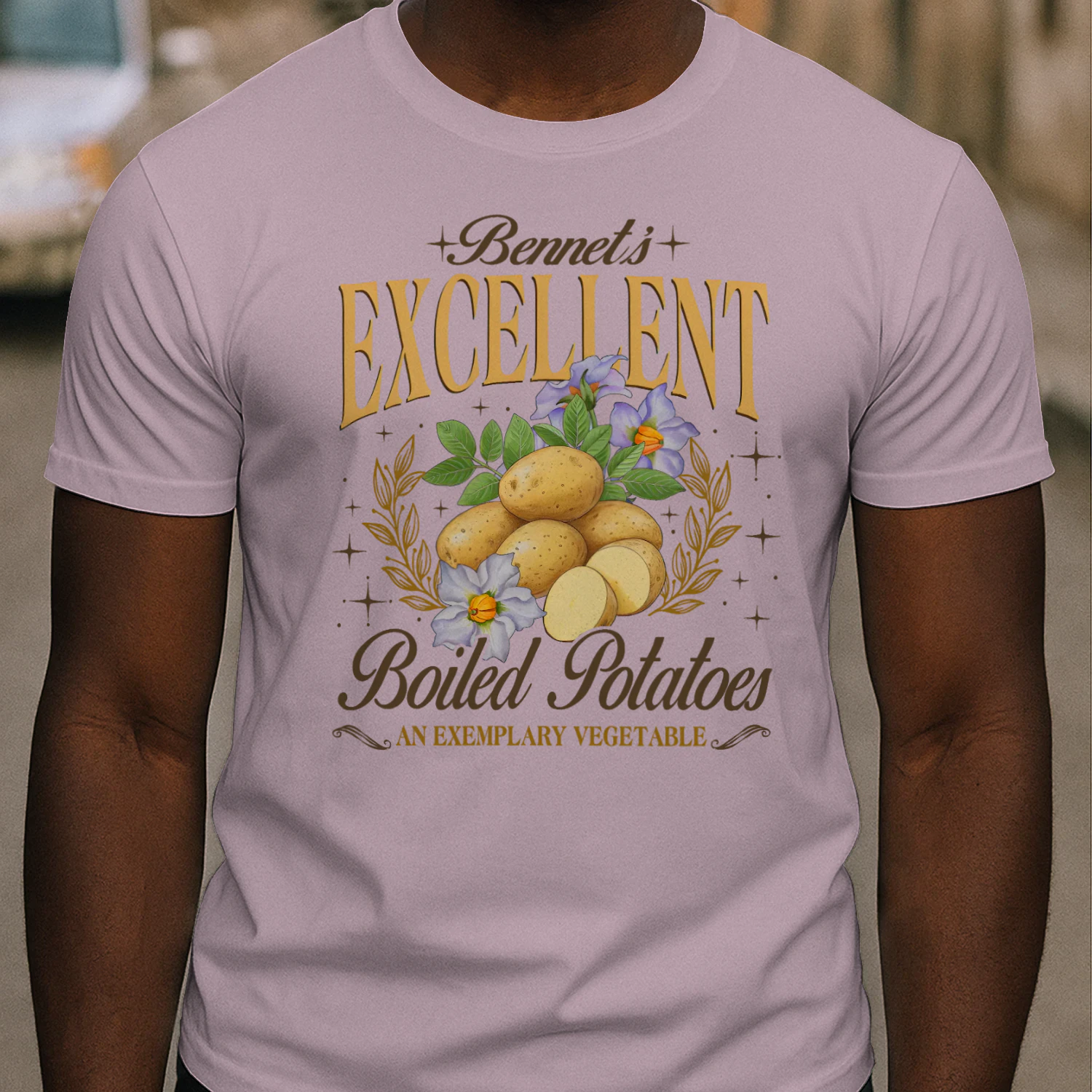Exemplary Vegetable Heavy Cotton Light Colors T-shirt 1 Side, Pride and Prejudice Gildan Tee, Classic Literature Shirt, Book Lover Gifts