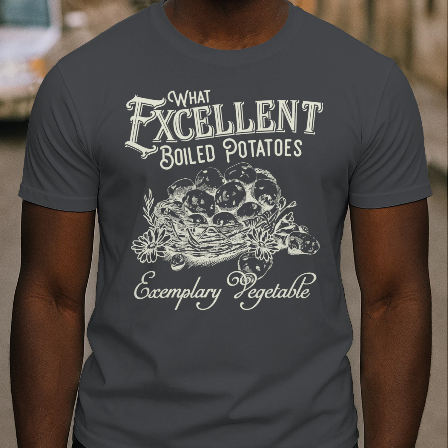 Exemplary Vegetable Heavy Cotton Dark Colors T-shirt 1 Side, Pride and Prejudice Gildan Tee, Classic Literature Shirt, Book Lover Gifts