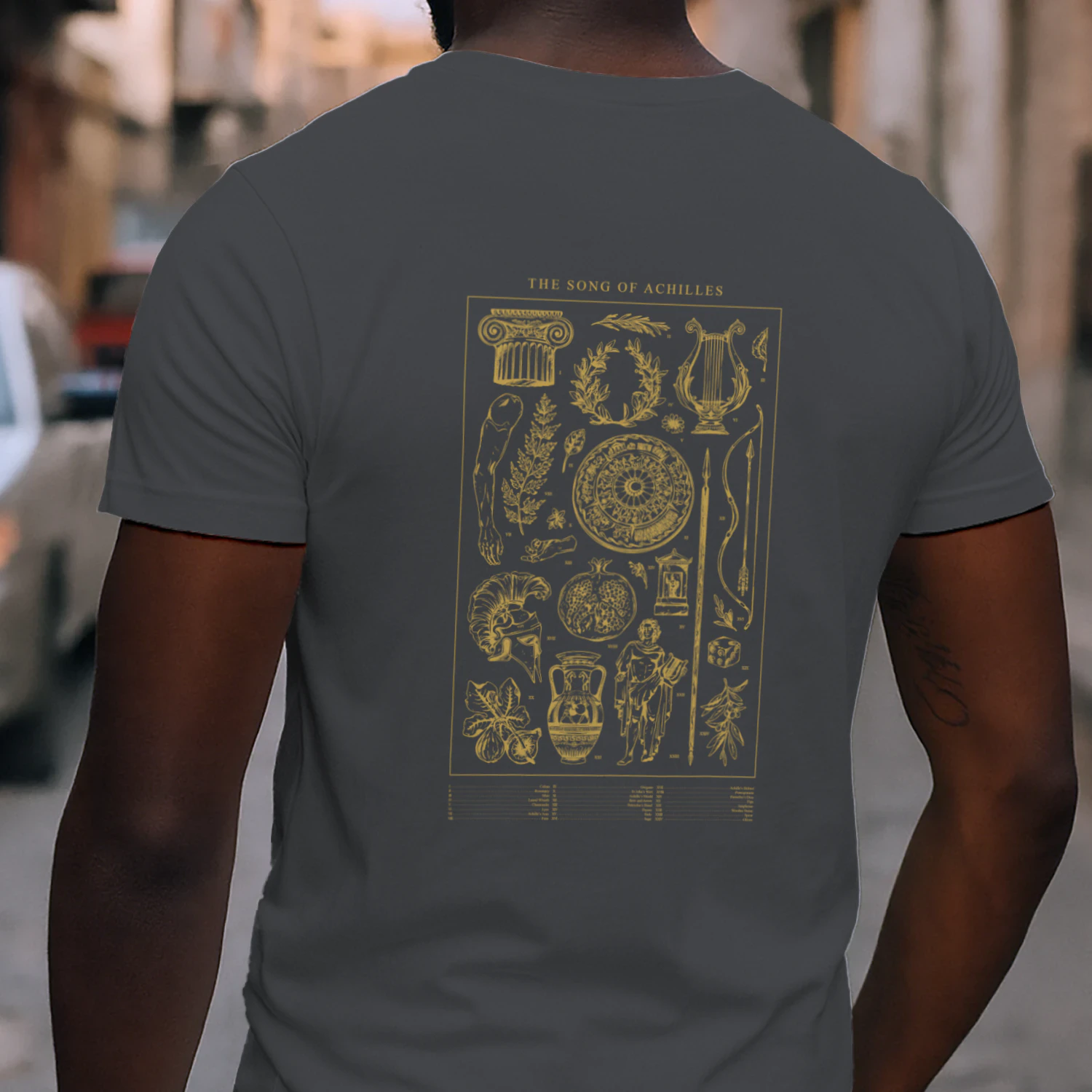 The Song of Achilles Heavy Cotton Dark Colors T-shirt 2 Side, Classic Retellings Gildan Tee, Mythological Retellings Book Shirt, Book Lover Gifts