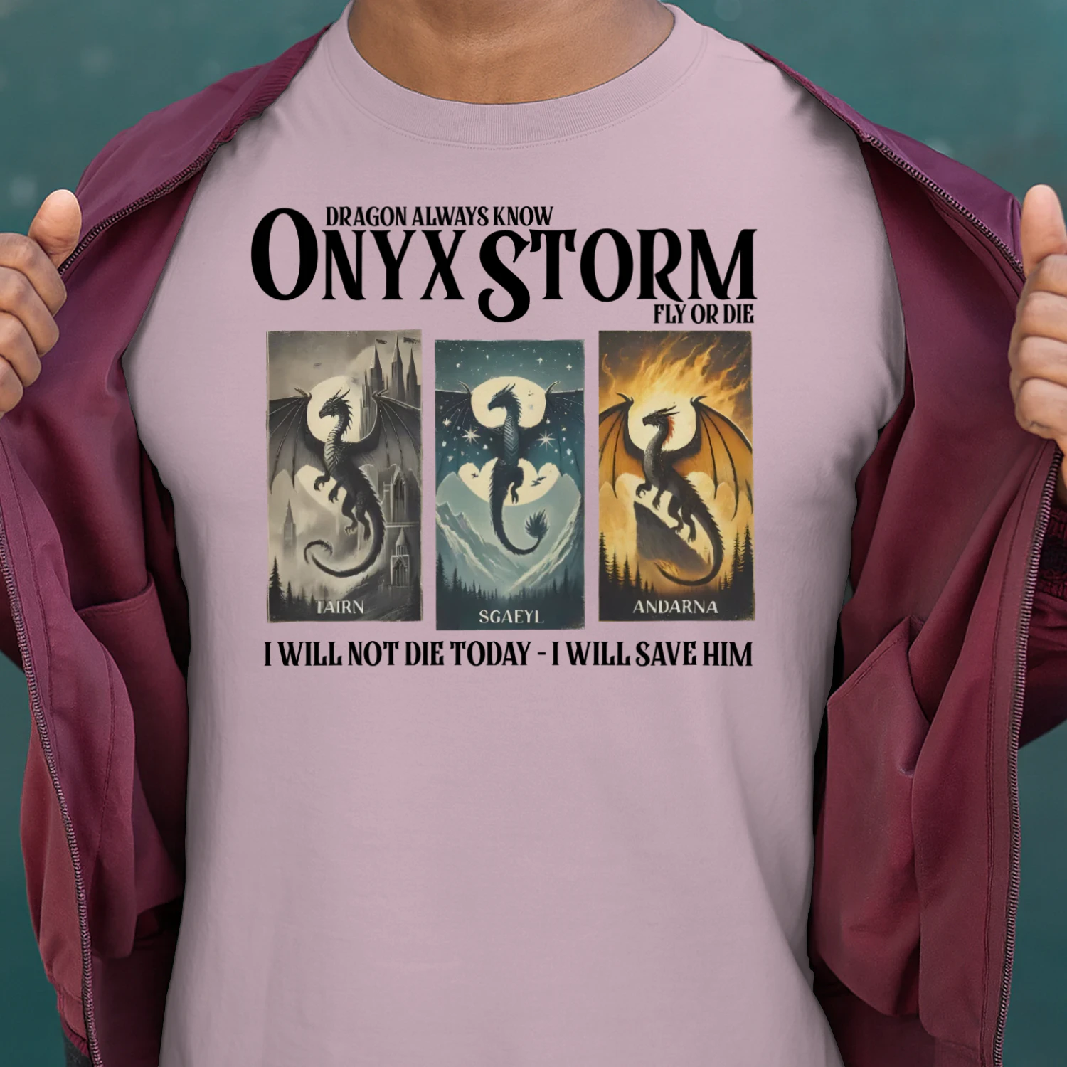 Onyx Storm Heavy Cotton Light Colors T-shirt 1 Side, The Empyrean Series Gildan Tee, Fantasy Romance Book Shirt, Book Lover Gifts