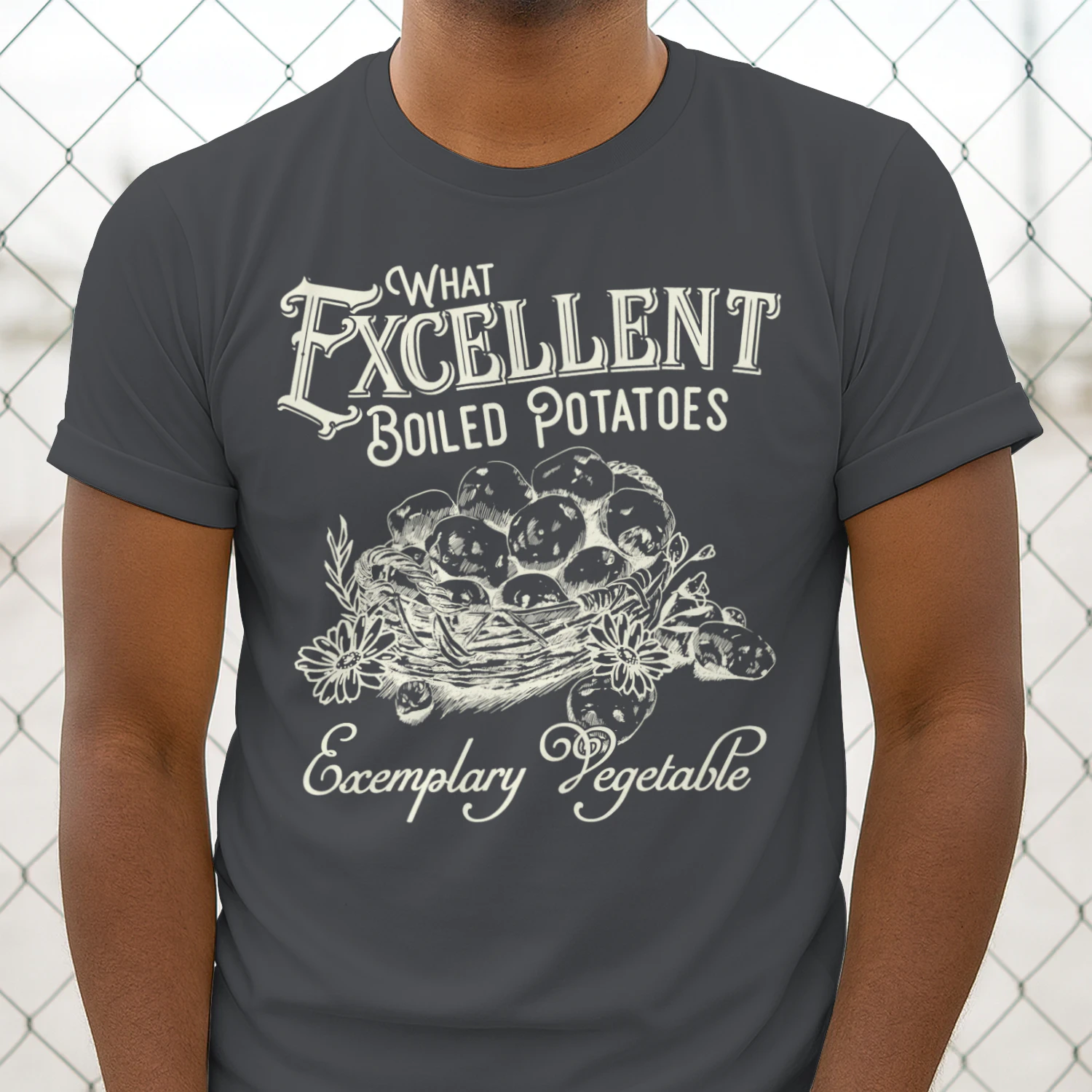 Exemplary Vegetable Heavy Cotton Dark Colors T-shirt 1 Side, Pride and Prejudice Gildan Tee, Classic Literature Shirt, Book Lover Gifts