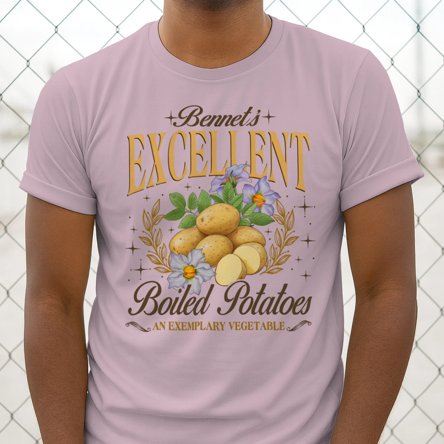Exemplary Vegetable Heavy Cotton Light Colors T-shirt 1 Side, Pride and Prejudice Gildan Tee, Classic Literature Shirt, Book Lover Gifts