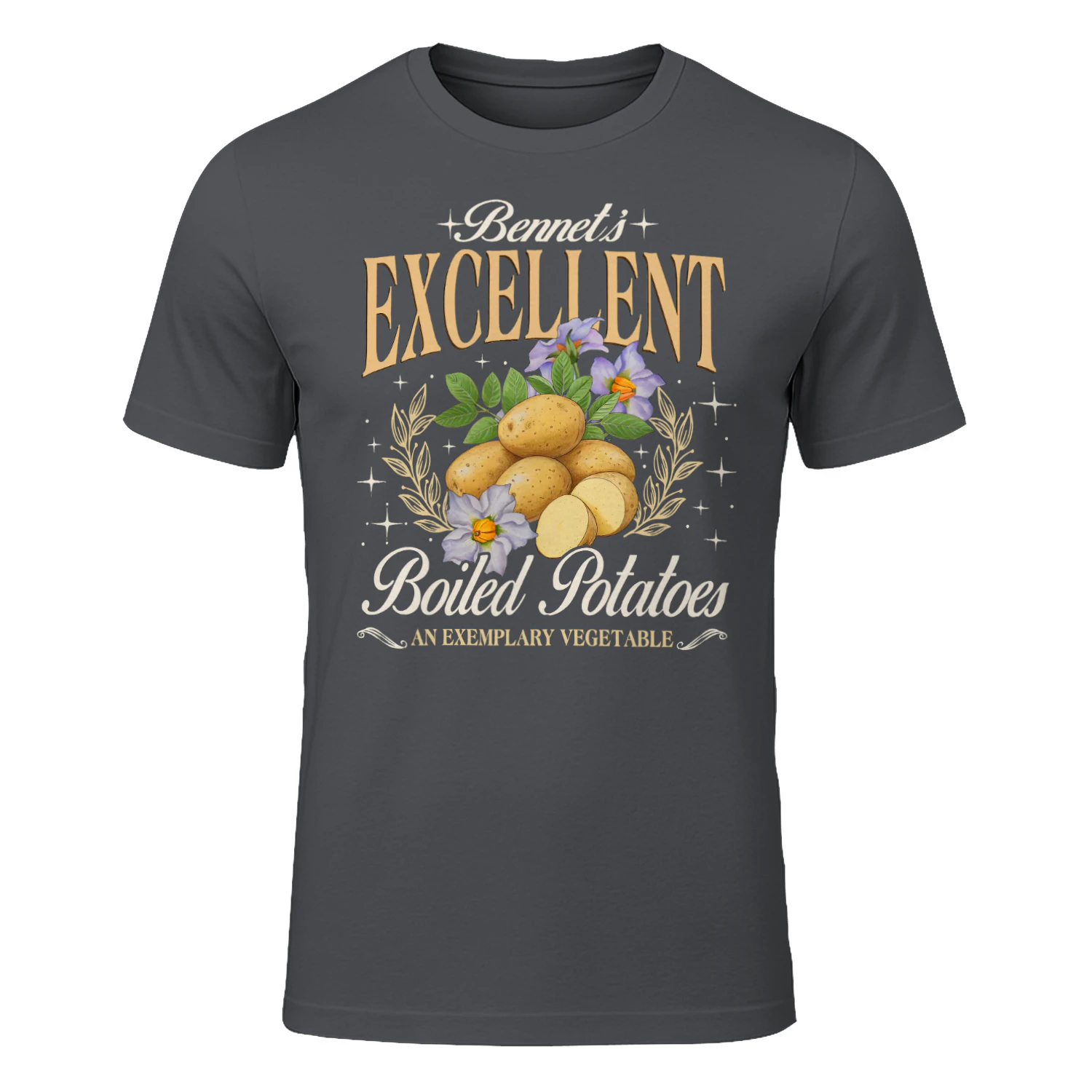 Exemplary Vegetable Heavy Cotton Dark Colors T-shirt 1 Side, Pride and Prejudice Gildan Tee, Classic Literature Shirt, Book Lover Gifts