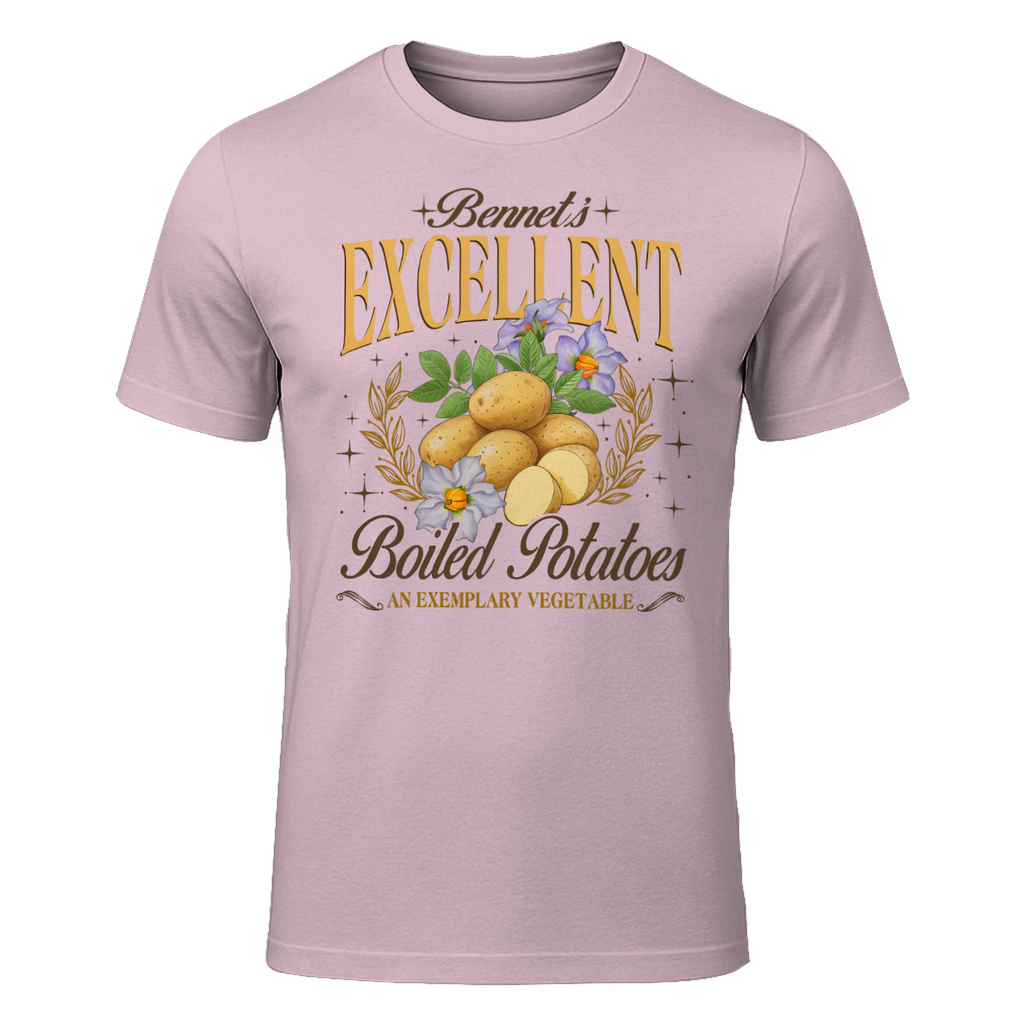 Exemplary Vegetable Heavy Cotton Light Colors T-shirt 1 Side, Pride and Prejudice Gildan Tee, Classic Literature Shirt, Book Lover Gifts