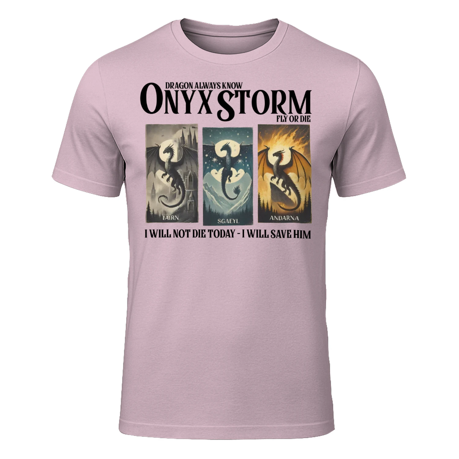 Onyx Storm Heavy Cotton Light Colors T-shirt 1 Side, The Empyrean Series Gildan Tee, Fantasy Romance Book Shirt, Book Lover Gifts