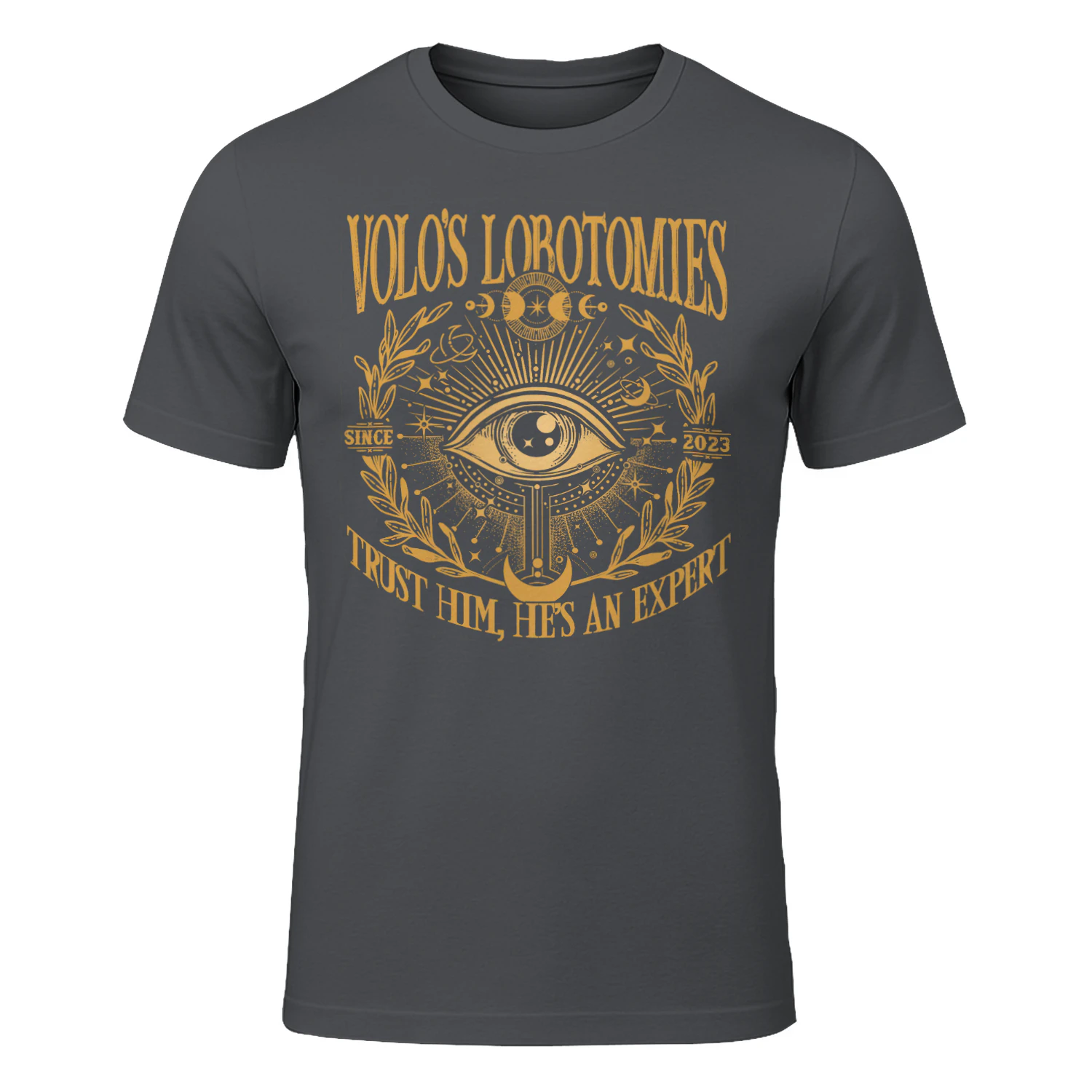 Volo’s Lobotomies Heavy Cotton Dark Colors T-shirt 1 Side, High Fantasy Gildan Tee, Tabletop RPG Lore Shirt, Book Lover Gifts