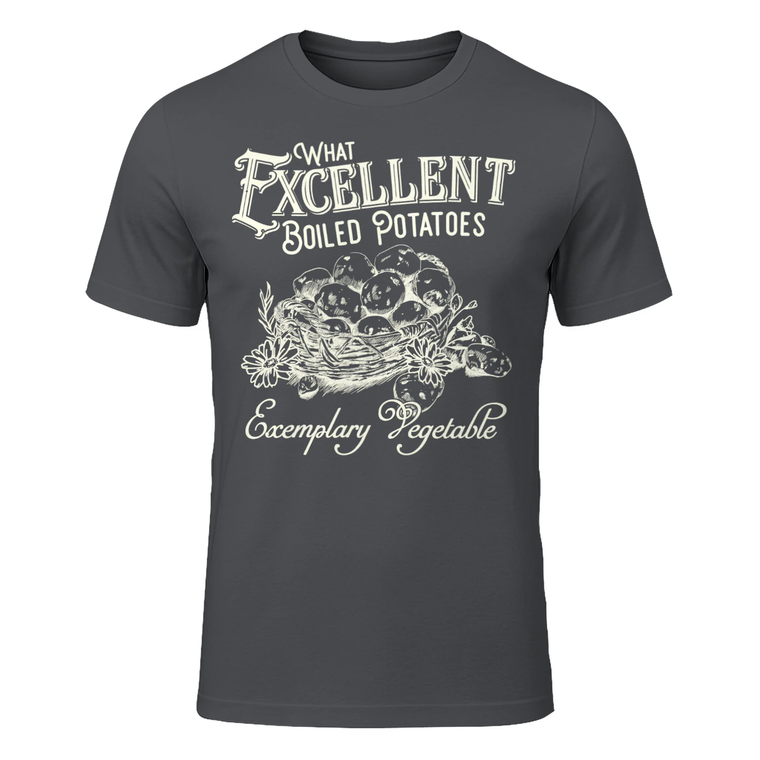 Exemplary Vegetable Heavy Cotton Dark Colors T-shirt 1 Side, Pride and Prejudice Gildan Tee, Classic Literature Shirt, Book Lover Gifts