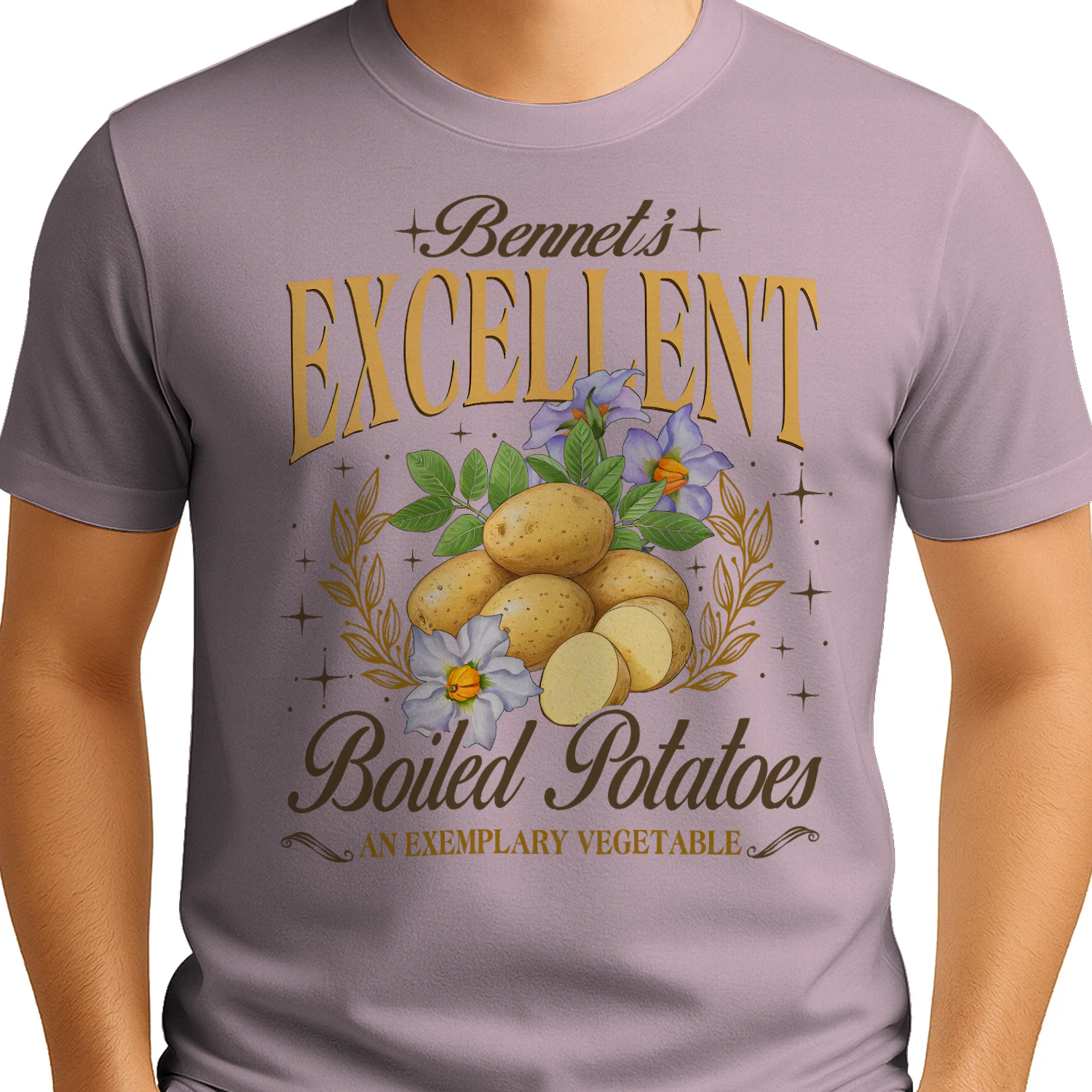 Exemplary Vegetable Heavy Cotton Light Colors T-shirt 1 Side, Pride and Prejudice Gildan Tee, Classic Literature Shirt, Book Lover Gifts
