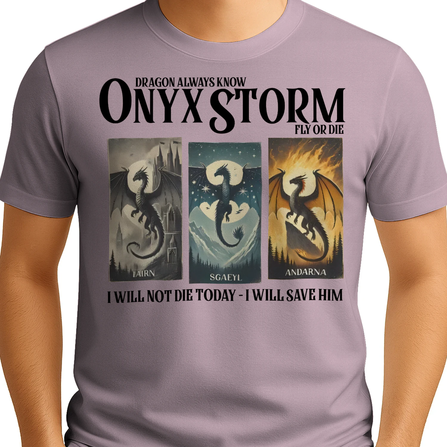 Onyx Storm Heavy Cotton Light Colors T-shirt 1 Side, The Empyrean Series Gildan Tee, Fantasy Romance Book Shirt, Book Lover Gifts