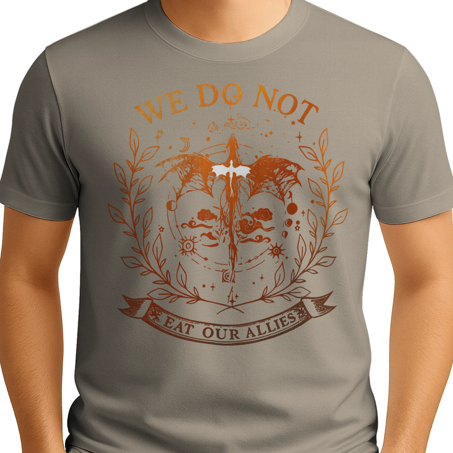 We Do Not Eat Our Allies Heavy Cotton Light Colors T-shirt 1 Side, Fourth Wing Gildan Tee, Fantasy Romance Book Shirt, Book Gifts