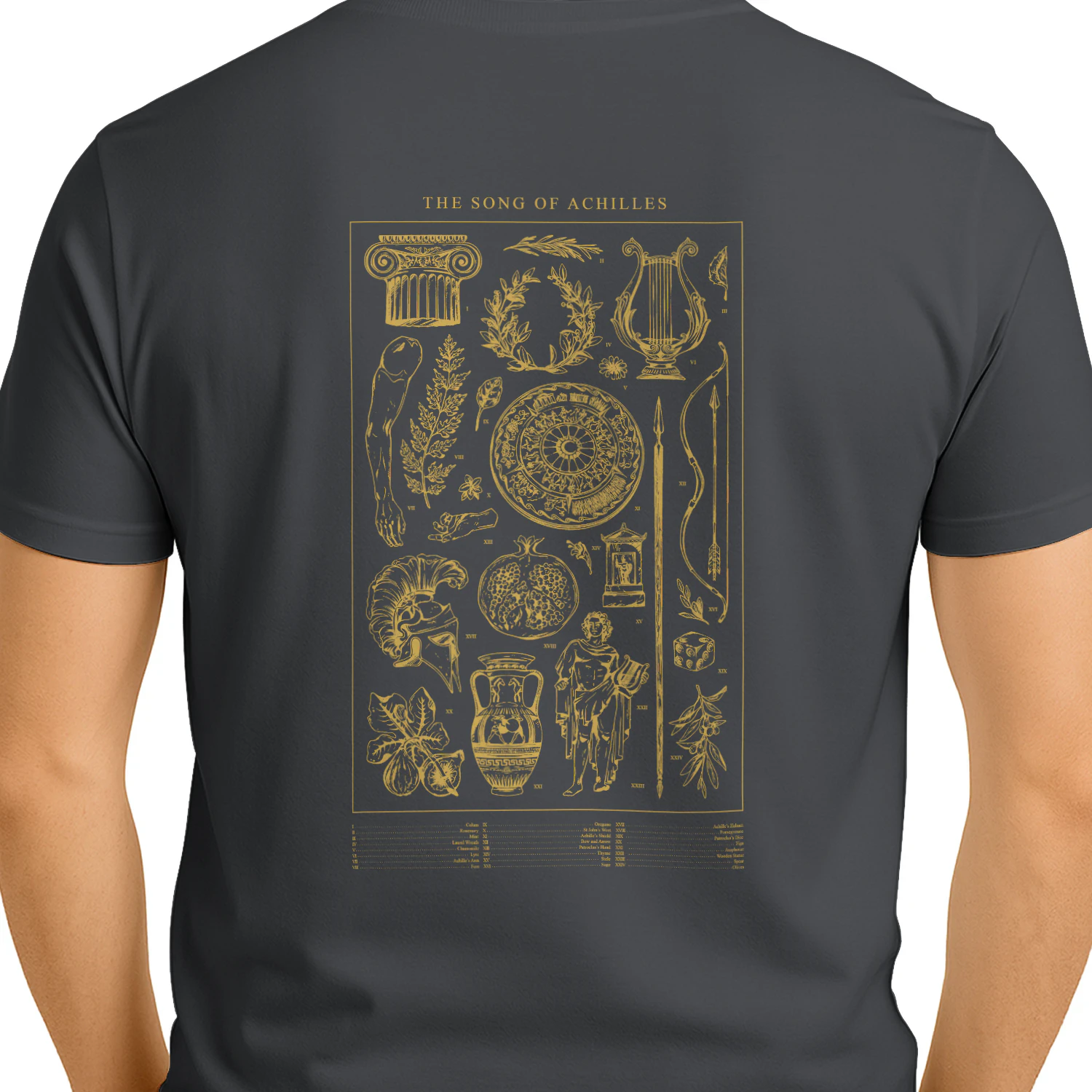 The Song of Achilles Heavy Cotton Dark Colors T-shirt 2 Side, Classic Retellings Gildan Tee, Mythological Retellings Book Shirt, Book Lover Gifts