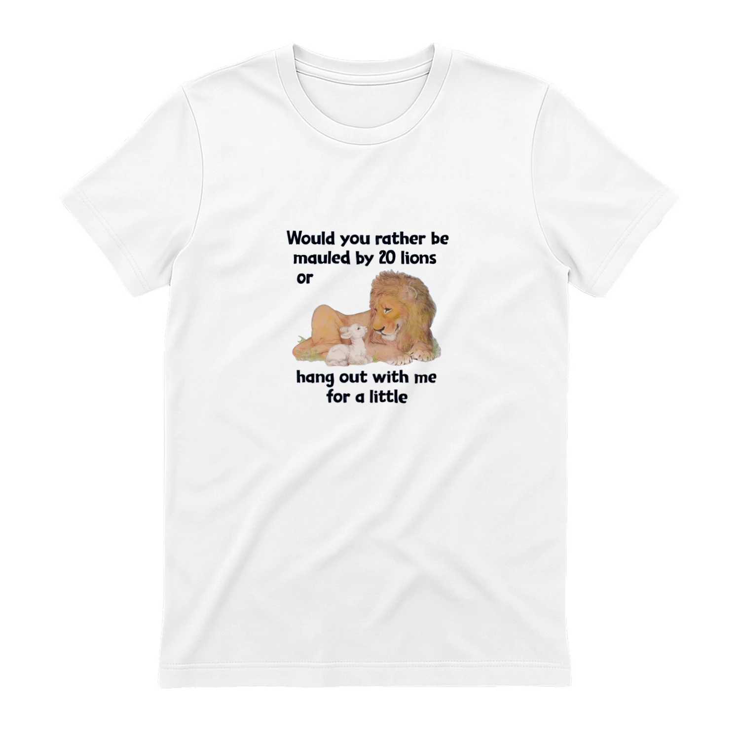 Would You Rather Be Mauled By 20 Lions Or Hang Out With Me For A Little shirt
