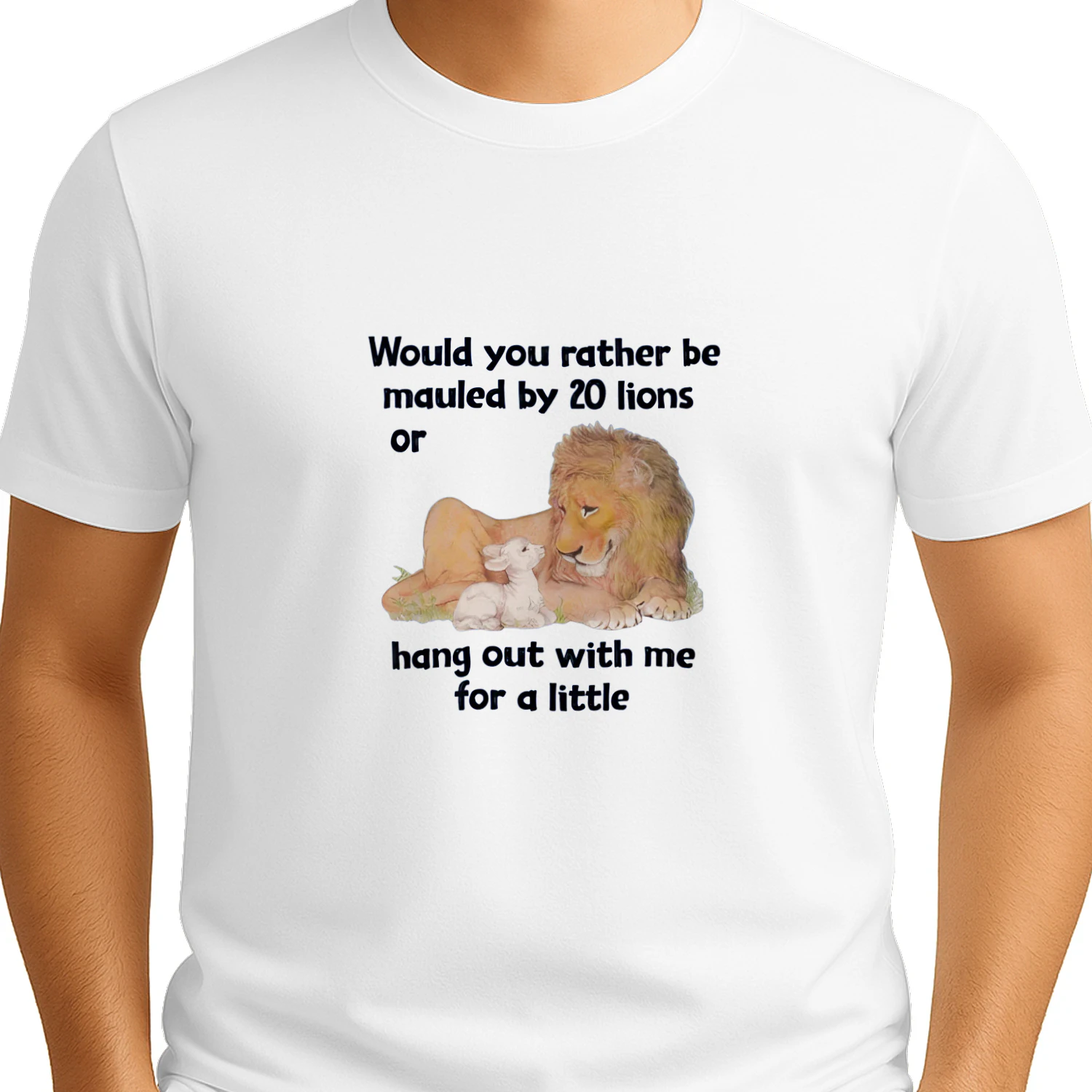 Would You Rather Be Mauled By 20 Lions Or Hang Out With Me For A Little shirt