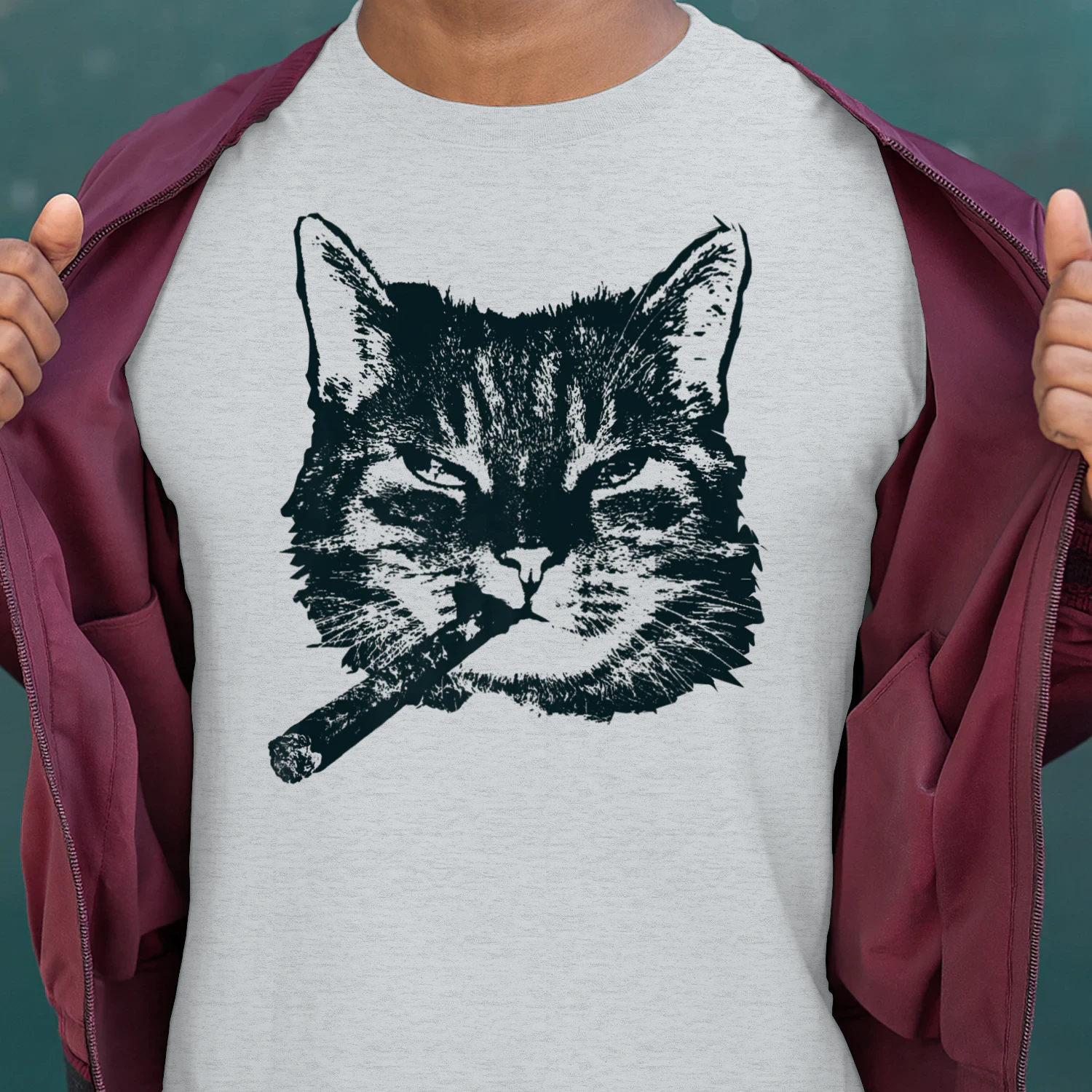 cigar cat