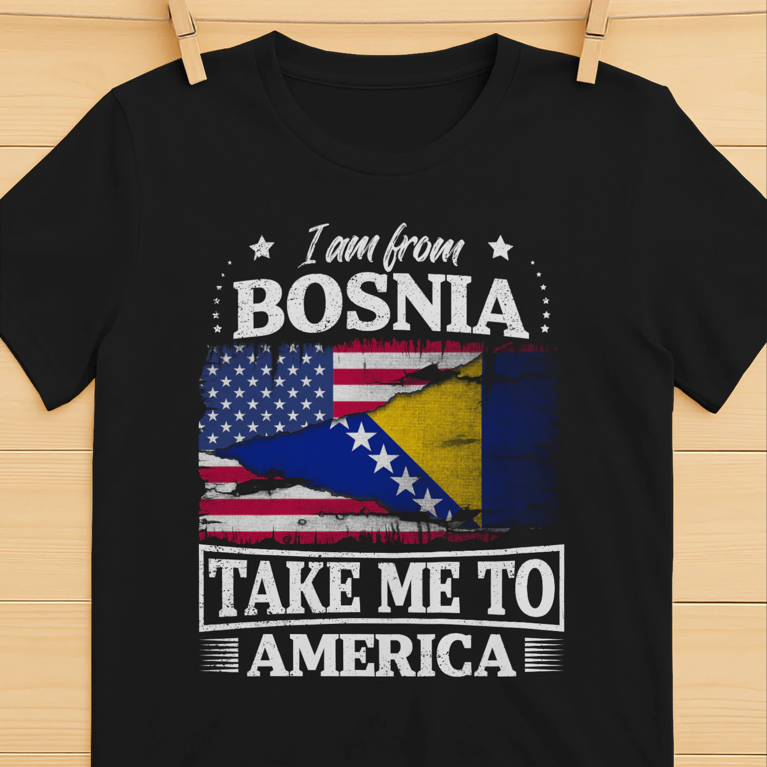 I am from Bosnia Take me to America